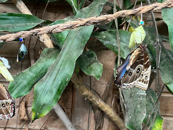 23-09-09 11-06-24 6508